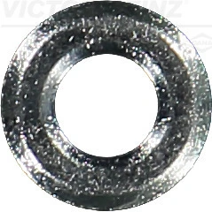 Seal Ring, injector